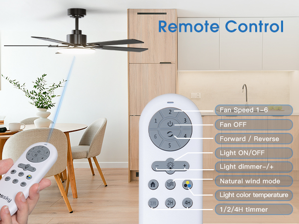 ceiling fan with remote control
