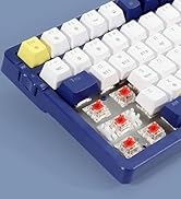 Merdia Wireless Mechanical Keyboard, Triple Mode 2.4G/USB-C/BT Gaming Keyboard 100 Keys Ice-Blue ...