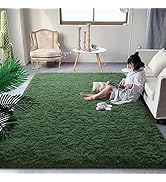 DweIke Fluffy Area Rug for Living Room Bedroom, 4'x6' Soft Modern Indoor Plush Dark Green Rugs, N...
