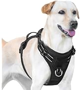 Sunraymascota No Pull Dog Harness, Reflective Puppy Vest for Small Medium Large Sized Dog(Black,S)