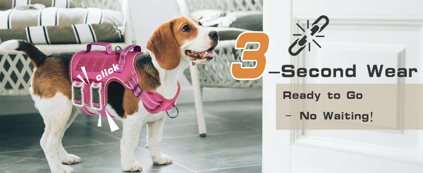 dog harness