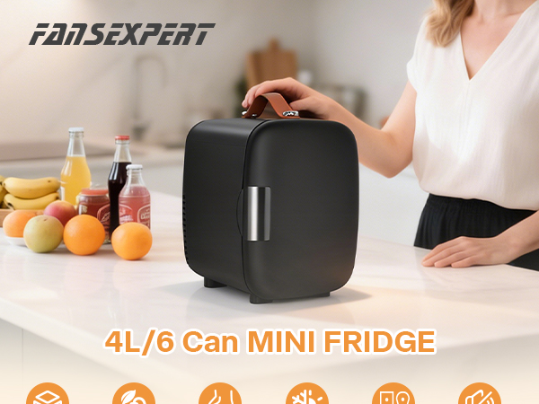 Mini Fridge