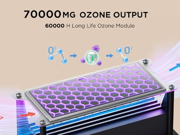 ozone generator