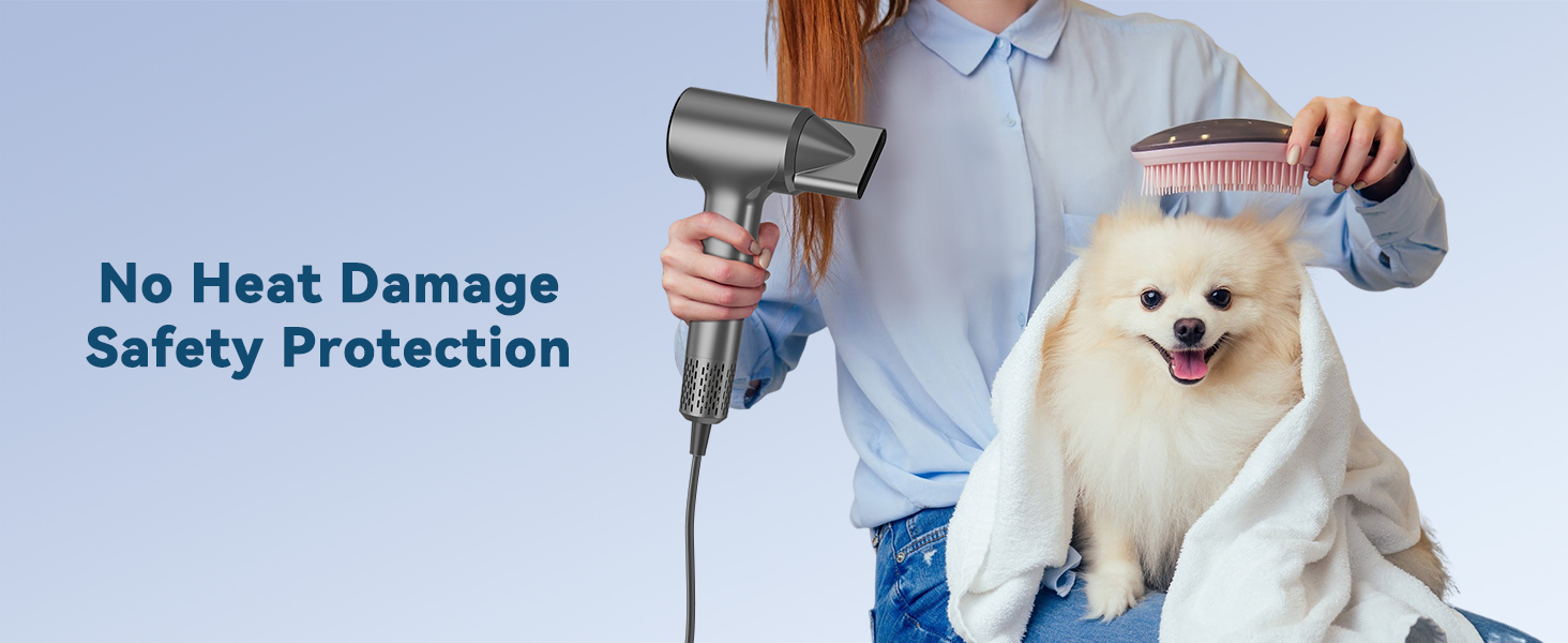 hair dryer for pet