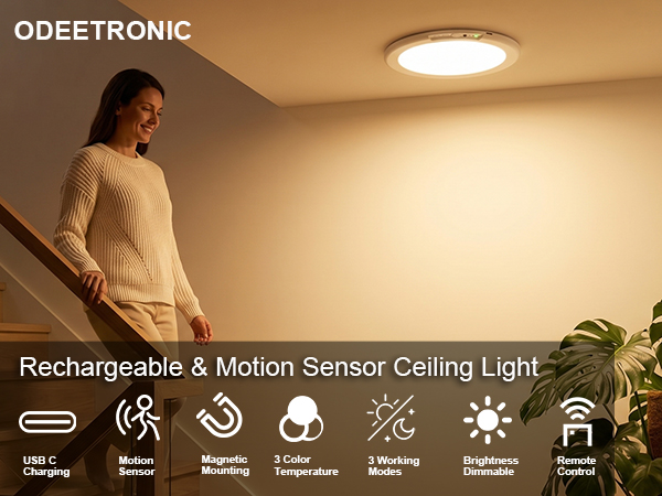 The ceiling light allows you to adjust the color temperature and brightness