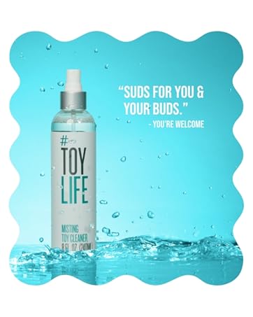 Misting toy cleaner