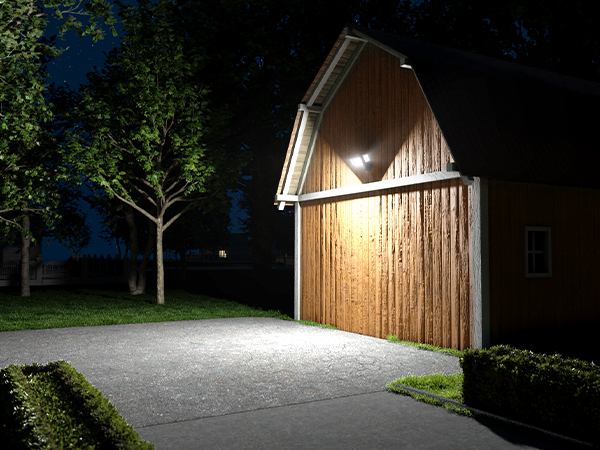 Dusk to Dawn Security Lights