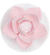 Passive Oil Diffuser for Essential Oil-Non-Electric Porcelain Aromatherapy Diffusers for Small Mi...