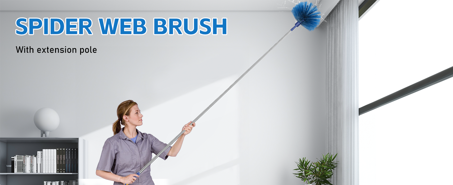 Cobweb Duster