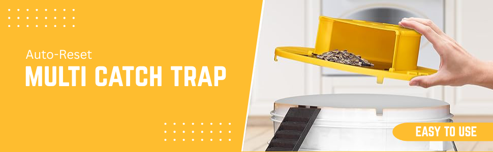 Mouse trap Bucket
