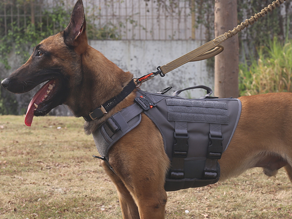 dog harness grey