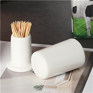Toothpick Holder 