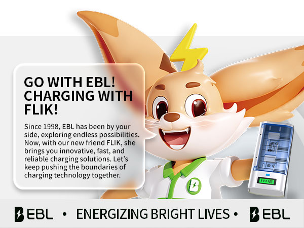 EBL Smart Charger