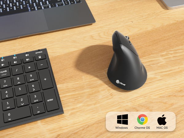 Ergonomic Mouse