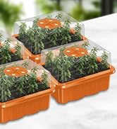 grow plant tray