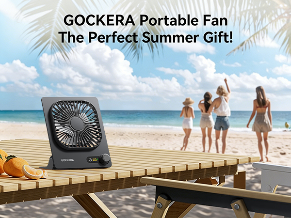 portable desk fan