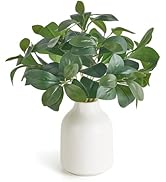 Dahey Fake Plants in Small Ceramic Vase Realistic Artificial Faux Plants Indoor Modern Farmhouse ...