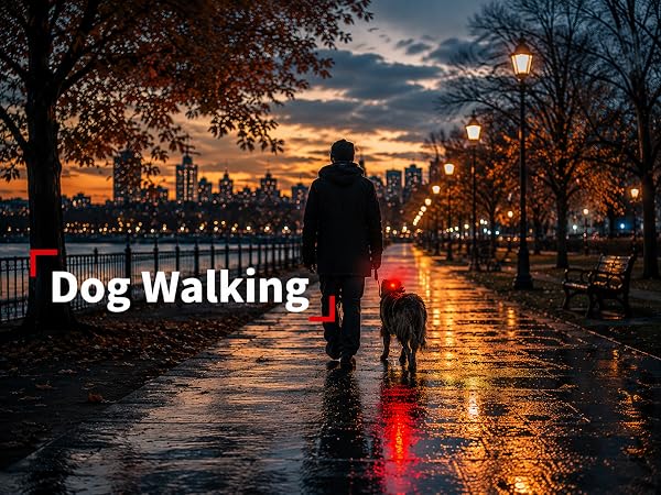 Dog Walking
