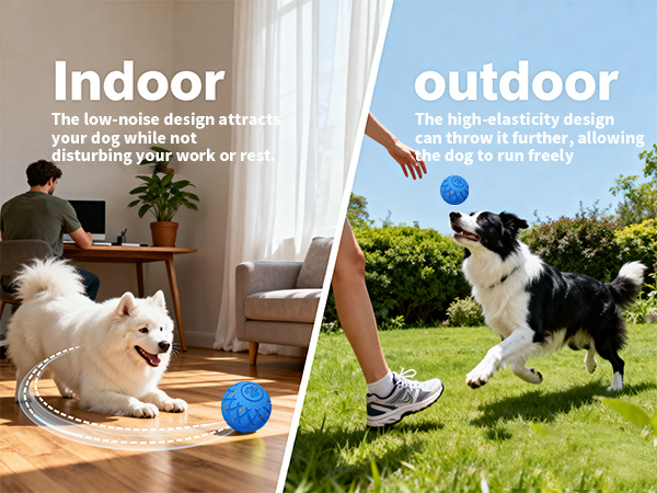 dog ball