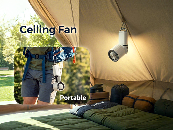 Ceoling Fan