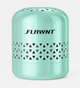 Fridge Deodorizer-Green