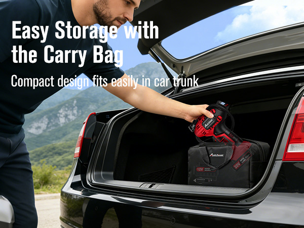 Tire Inflator ACAP115D