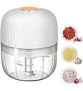 Electric Garlic Chopper, Mini Portable Veggie Chopper, 250ML Garlic Grinder Masher Onion Chopper,...