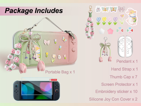 switch 2 accessories