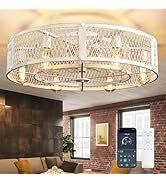 Depuley Flush Mount Ceiling Fan: 26" Caged Ceiling Fans with Lights and Remote App Control for Ki...