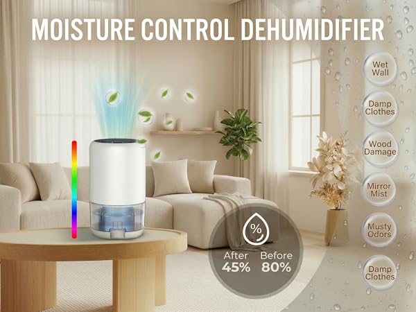 Supports Everyday Indoor Comfort