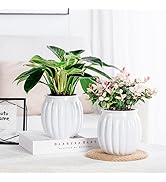 Funducts 2PCS Self Watering Planters 5.1 Inch Self Watering Pots for Indoor Plants, African Viole...