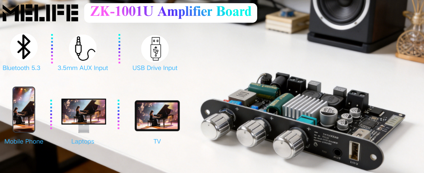 ZK-1001U Mono Amplifier Board
