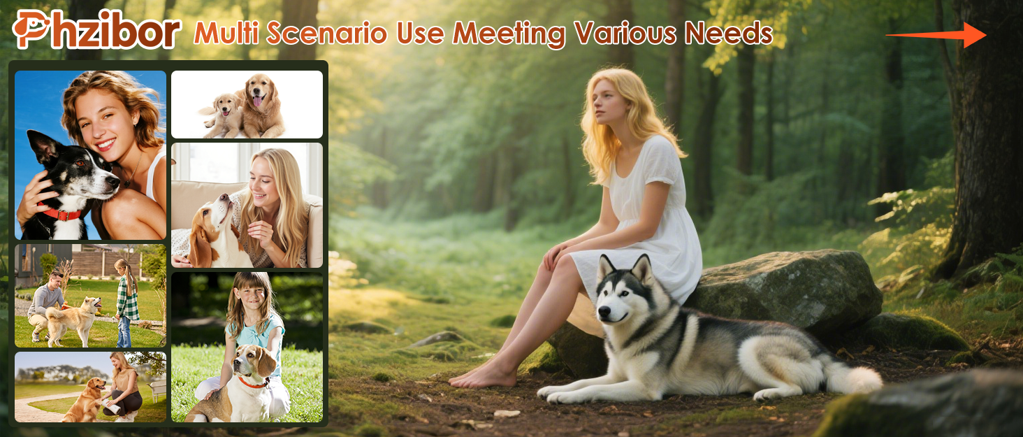 Phoor Multi $cenario Use Meeting Various Needs