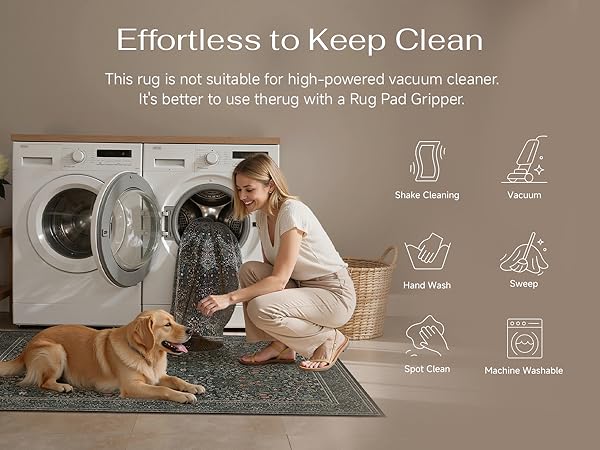 area rug