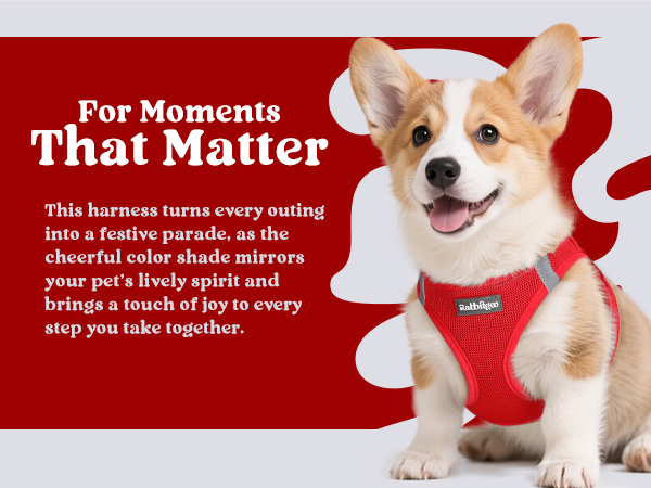 red harness for small dogs