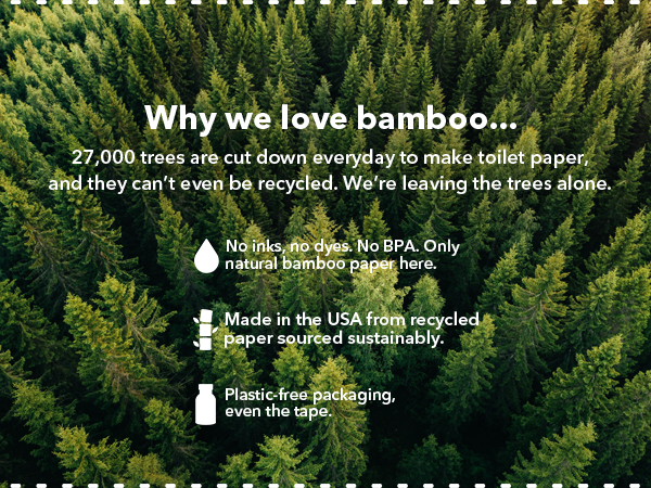 Reels Premium Bamboo Toilet Paper and Paper Towels Bundle