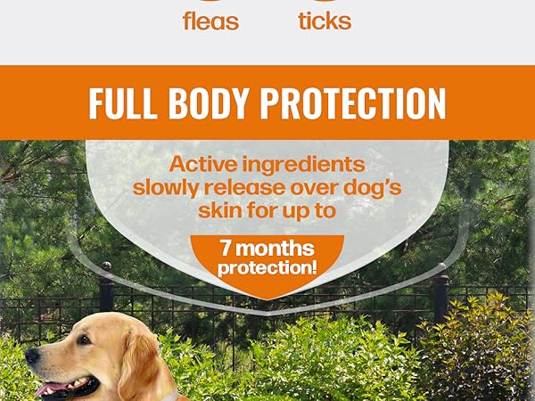 Full Body Protection