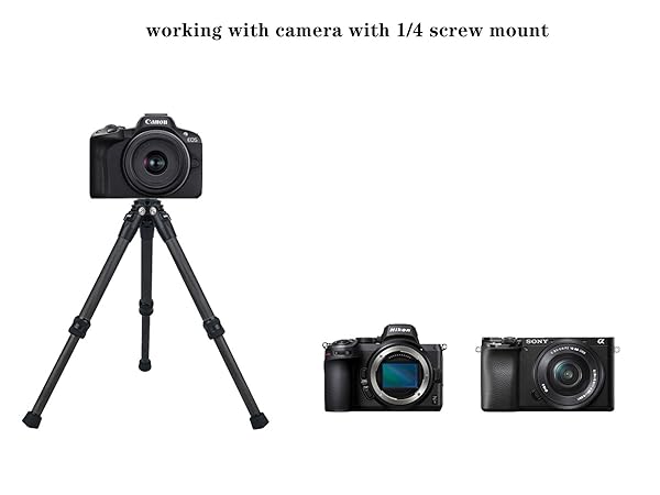 working with camera with 1/4 screw mount