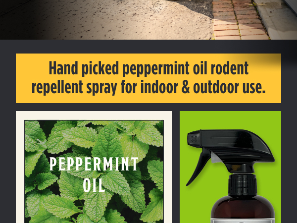 Mobile_MAXRodentRepellentSpray