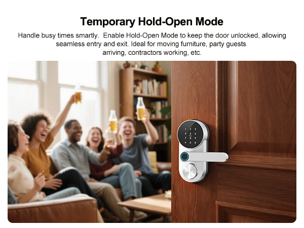 wifi door lock with handle