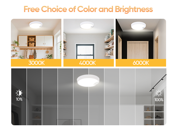 Ceiling light