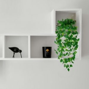 bookshelf decor