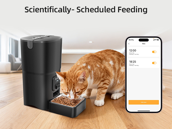 automatic cat feeder