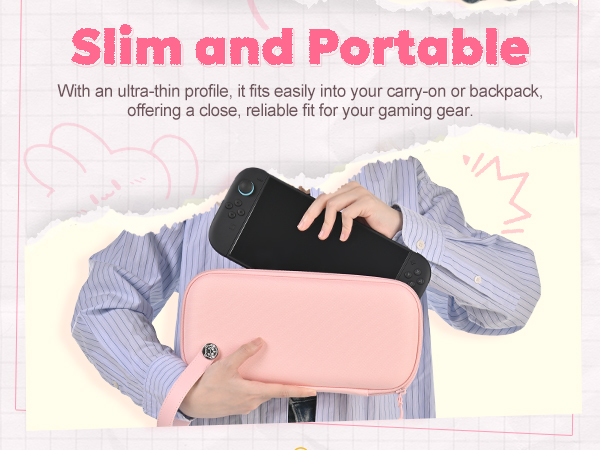 switch 2 case protector
