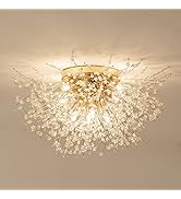 Yasince 8-Light Modern Crystal Firework Ceiling Lights, Sputnik Close to Ceiling Light Fixture, D...