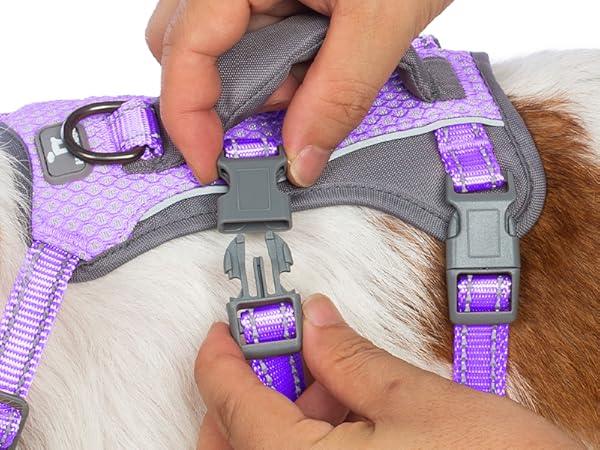 dog harness with handle 