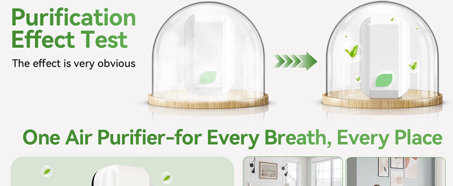 Ion Air Purifier for Home