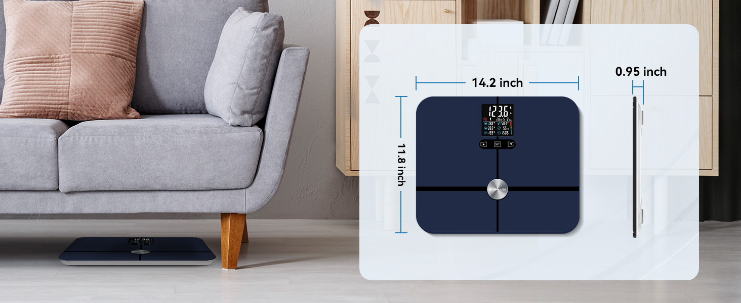 scale with bmi, body fat, muscle mass