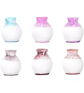 6Pcs Mini Bud Vases for Fairy Garden, Resin Flower Vases, Home Tabletop Decoration Gift for Plant...