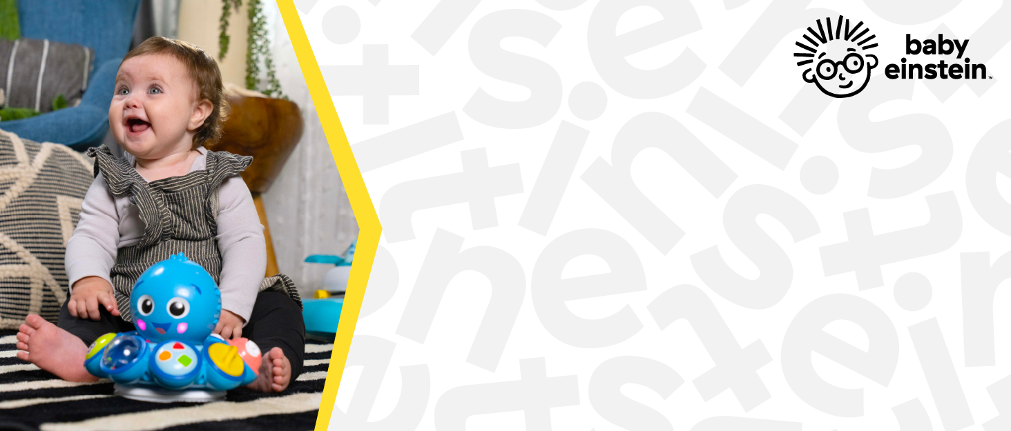 baby einstein banner